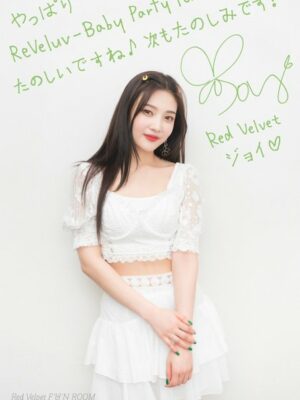 White Lace Crop Top | Joy – Red Velvet