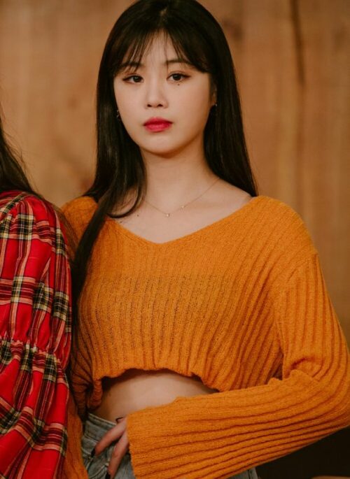 Orange V-Neck Rib Thin Sweater | Soojin – (G)I-DLE