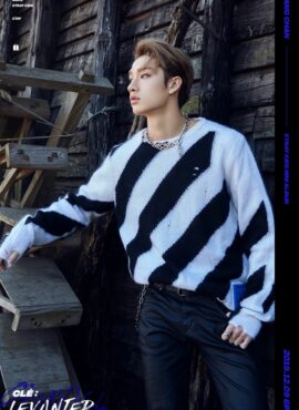 Black And White Striped Hedging Sweater | Bang Chan - Stray Kids