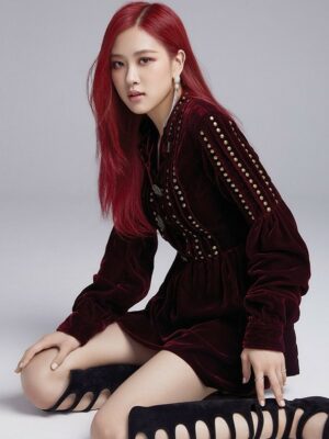 Red Studded Velvet Dress | Rose – BlackPink