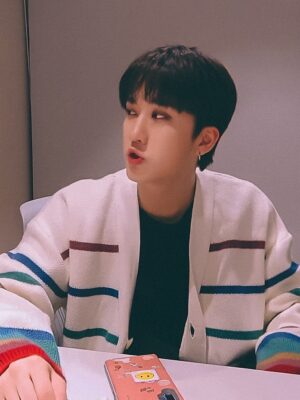 White Knitted Cardigan With Multicolored Stripe Pattern | Changbin – Stray Kids