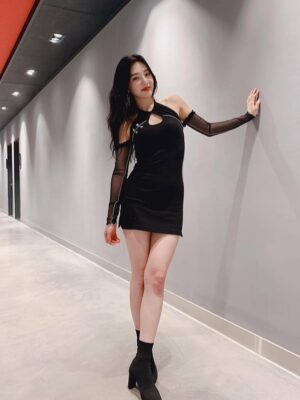 Black Fitted Dress With Mesh Sleeves | Joy – Red Velvet