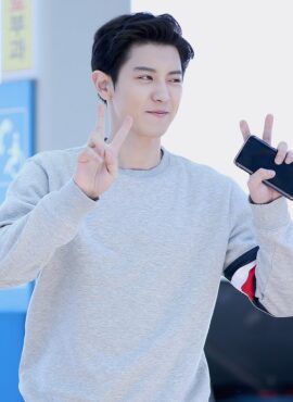 Grey Sweatshirt With Tricolor Bars | Chanyeol - EXO