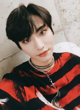 Red And Black Striped Dove Sweatshirt | Seonghwa – ATEEZ