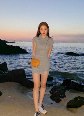 Grey Slim Fit Polo Dress | Yeri - Red Velvet