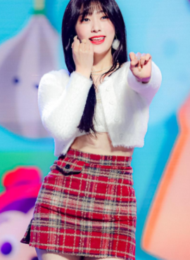 Red Plaid A-Line Skirt | Choerry - Loona