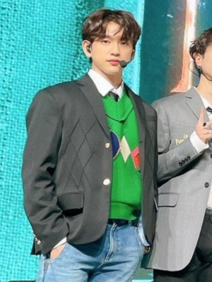 Green Diamond V-Neck Sweater | Jinyoung – GOT7