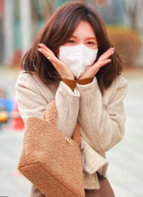 Brown Poodle Handbag | Wendy – Red Velvet