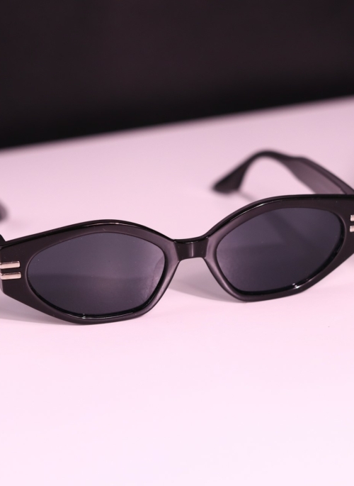 Black Sunglasses With Silver Dual Bars | Jennie – BlackPink