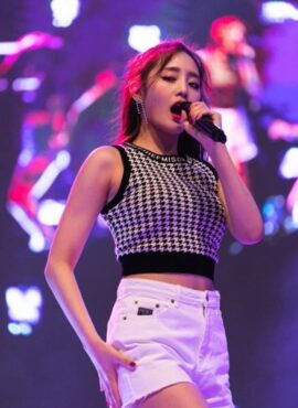 Black And White Houndstooth Sleeveless Plaid Crop Top | Minnie - (G)I-DLE