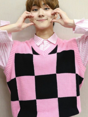 Pink Check V-Neck Knit Vest | Jungwon – Enhypen
