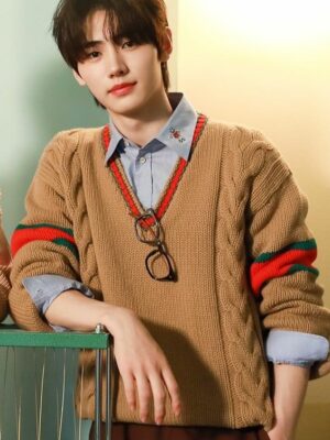 Brown V-Neck Sweater With Contrasting Linings | Sunghoon – Enhypen
