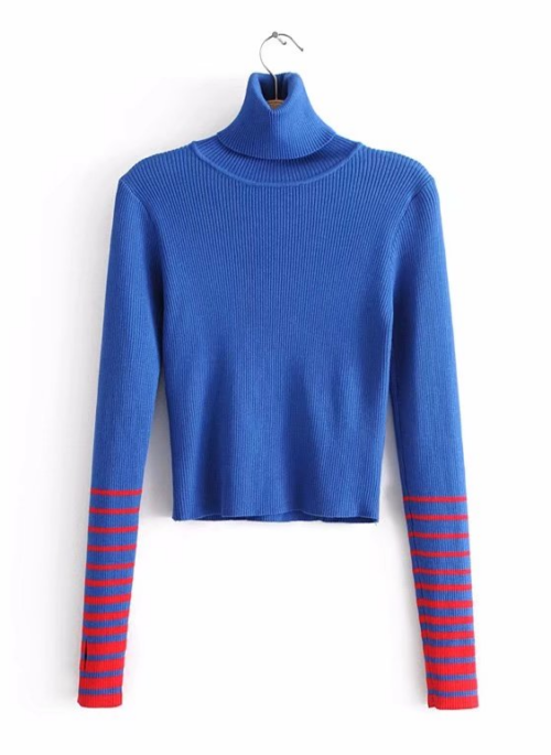 Blue Striped Sleeve Turtleneck Sweater | Mina – Twice