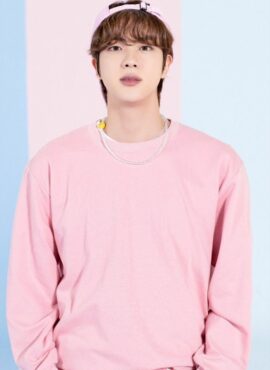 Baby Pink Sweatshirt | Jin - BTS