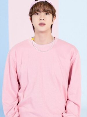 Baby Pink Sweatshirt | Jin – BTS