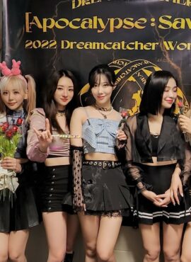 Black Bow And Lace Pleated Skirt | Handong - Dreamcatcher