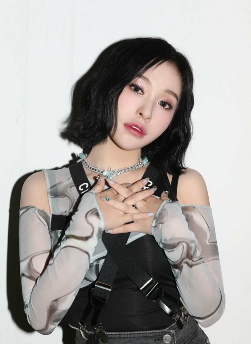 Silver Butterfly Chain Short Necklace | Gahyeon – Dreamcatcher