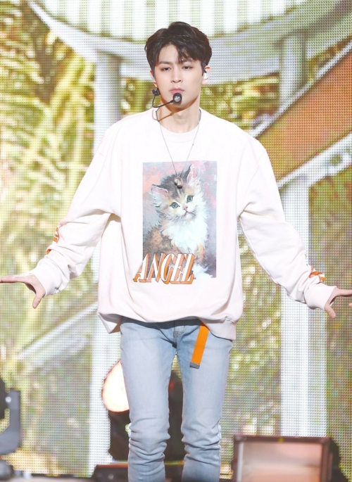 Beige Cat Painting Sweatshirt | Yunhyeong – iKON