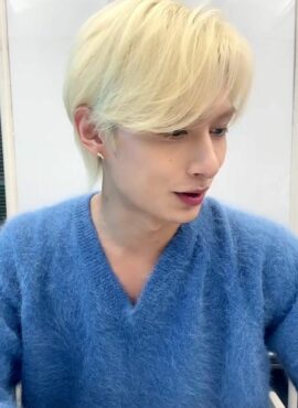 Blue Mohair V-Neck Sweater | Jun - Seventeen