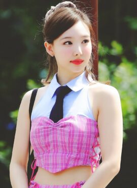 Pink And Blue Plaid Crop Top | Nayeon – Twice