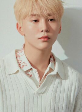 White Knit Short Sleeved Polo Shirt | Seungkwan – Seventeen