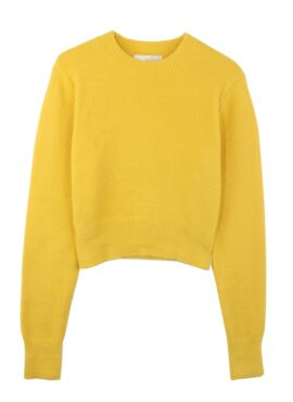 Yellow Crew Neck Knit Sweater | Rose - BlackPink
