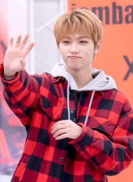 Red Checkered Hooded Shirt | Felix - Stray Kids