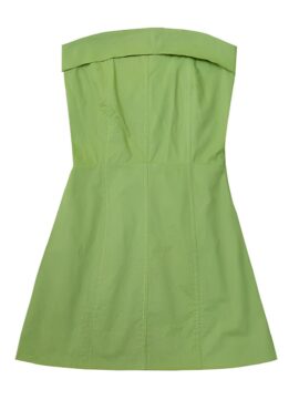 Green Mini Tube Dress | Rose - BlackPink