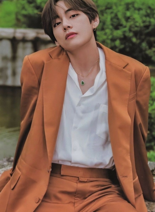Brown Suit and Trouser Two-Piece Set | Taehyung – BTS