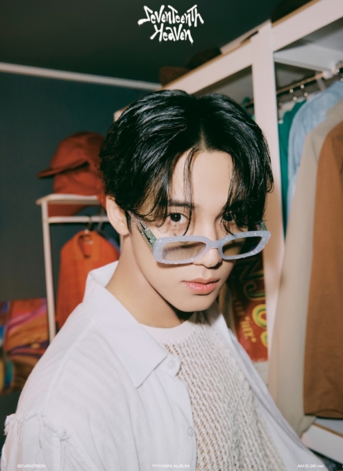 Green Ombre Sparkle Sunglasses | Mingyu - Seventeen