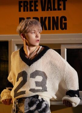 White See-Through Knitted Sweater | Vernon - Seventeen