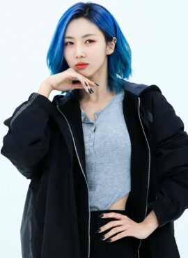 Grey Long Sleeves Corset-Style Top | Yoohyeon - Dreamcatcher