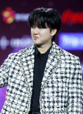 Black And  White Houndstooth Woolen Coat | Changbin – Stray Kids