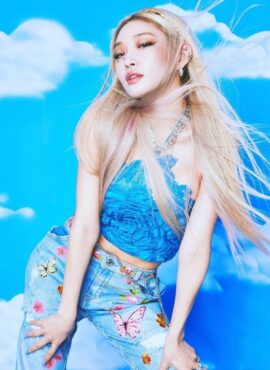 Blue Flowers And Butterfly Embroidered Jeans | Chung Ha