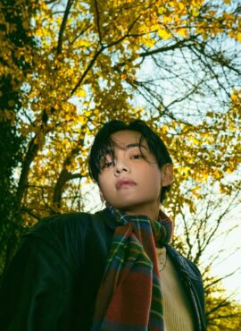 Red And Green Plaid Scarf | Taehyung - BTS