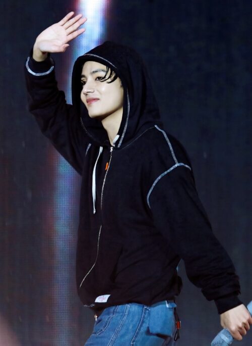 Black Out Stitched Hooded Jacket | Taehyung – BTS