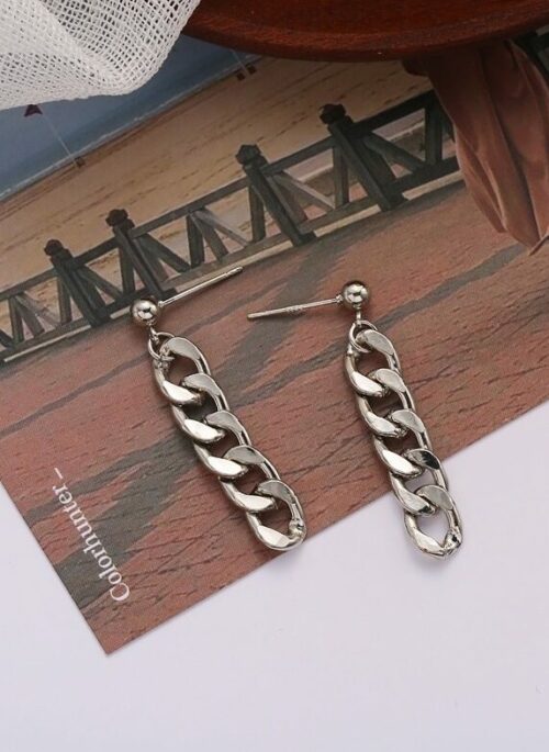Silver Chain Dangling Earrings | RM - BTS