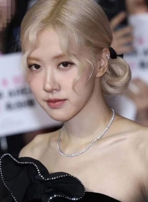 Silver Crystal Choker Necklace | Rose - BlackPink