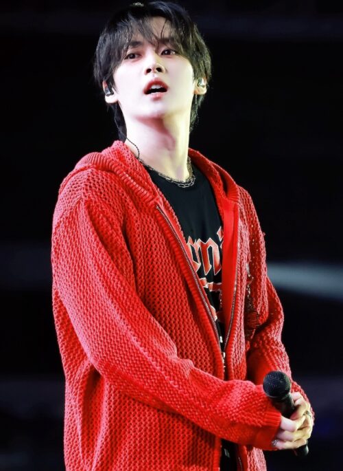 Red Hollow Knit Hooded Jacket | LeeKnow – Stray Kids