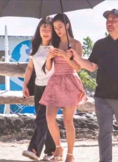 Red Plaid Fit And Flare Dress | Jisoo – BlackPink