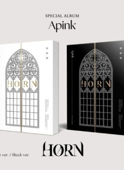 APINK Special Album - HORN | Set version
