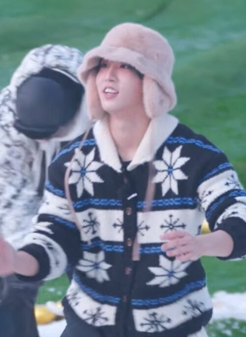 Black And Beige Snowflake Patterned Cardigan | Jisung - Stray Kids