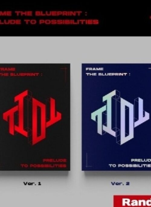 TIOT Debut Album - Frame the Blueprint : Prelude to Possibilities | Random version