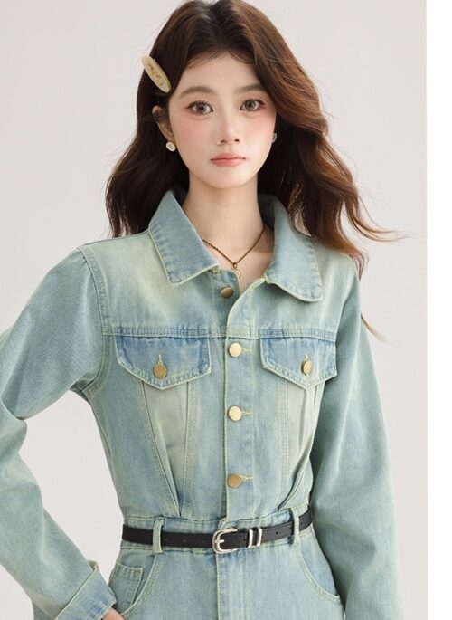 Vintage French Denim Dress