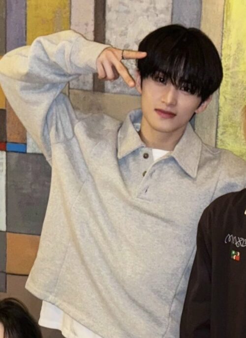 Ash Grey Collared Sweatshirt | Mark – NCT