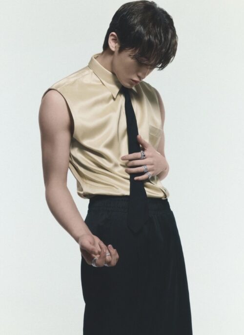 Beige Sleeveless Silk Shirt | Mark – NCT