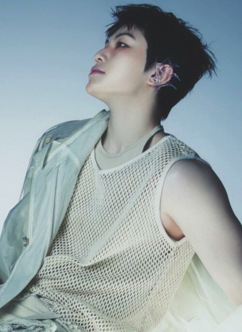 Beige See-Through Mesh Tank Top | Woozi - Seventeen