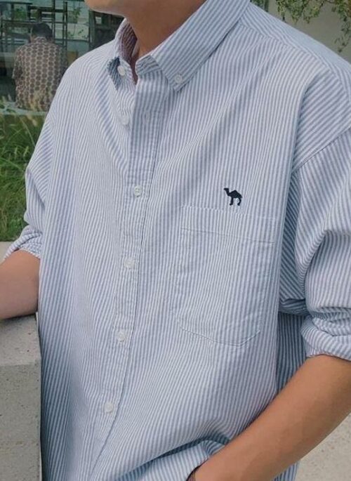 Striped Casual Embroidered Long Sleeve Shirt