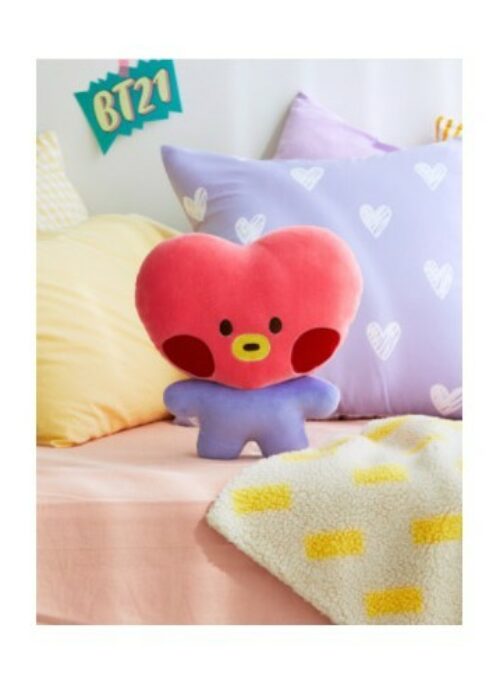 BT21 Line Friends Collaboration – Minini Flat Cushion