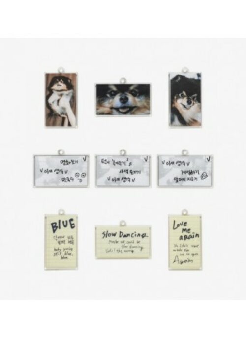 V “LAYOVER” Merch – Keyring Set
